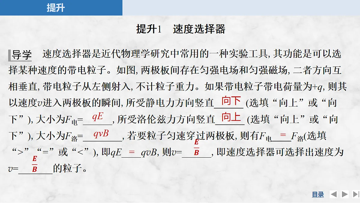 17764716第5页