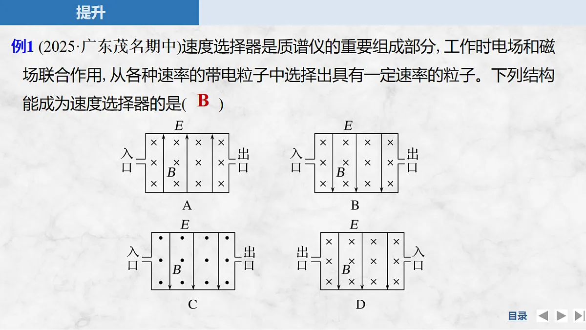 17764716第8页