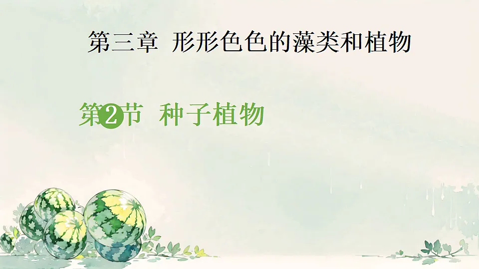 17764742第1页