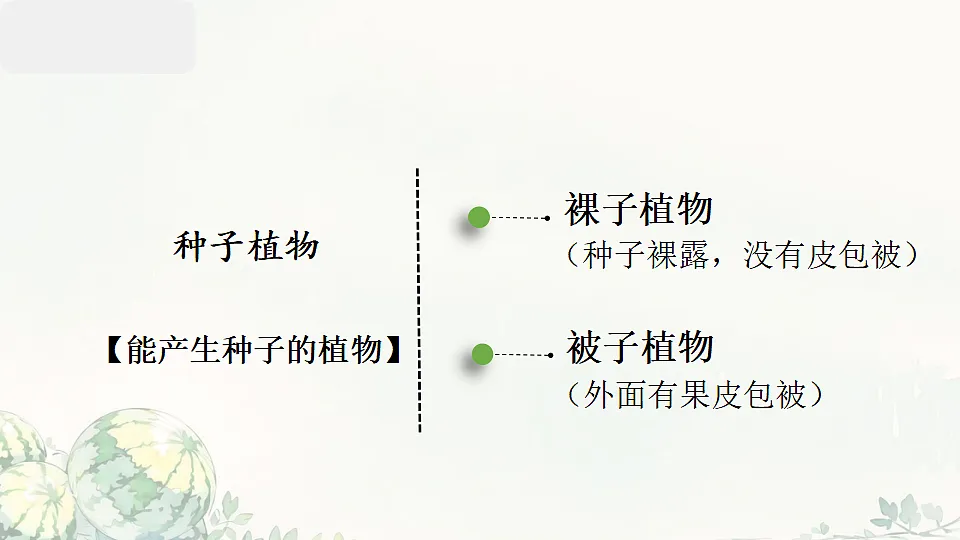 17764742第3页