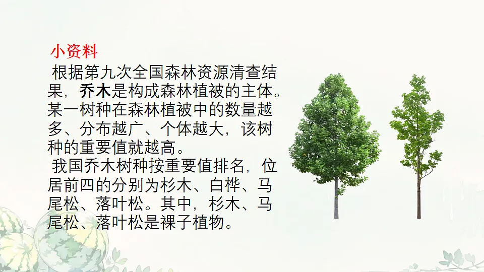 17764742第7页