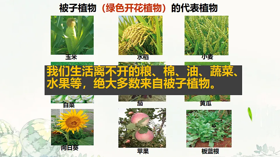 17764742第8页