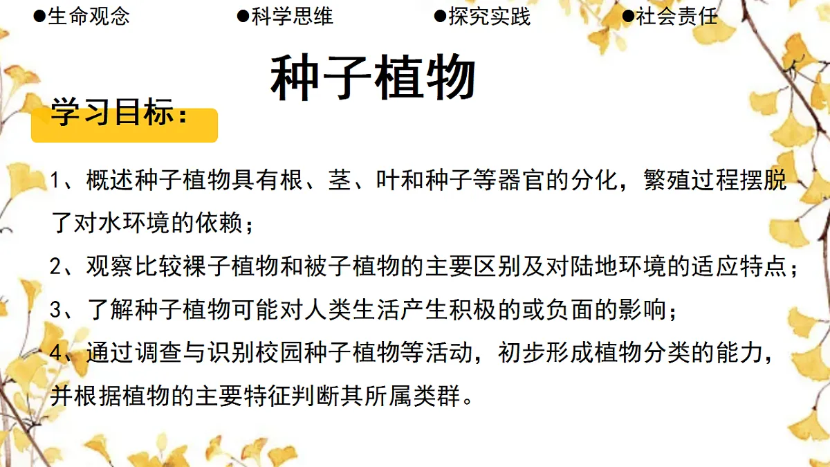 17764743第2页