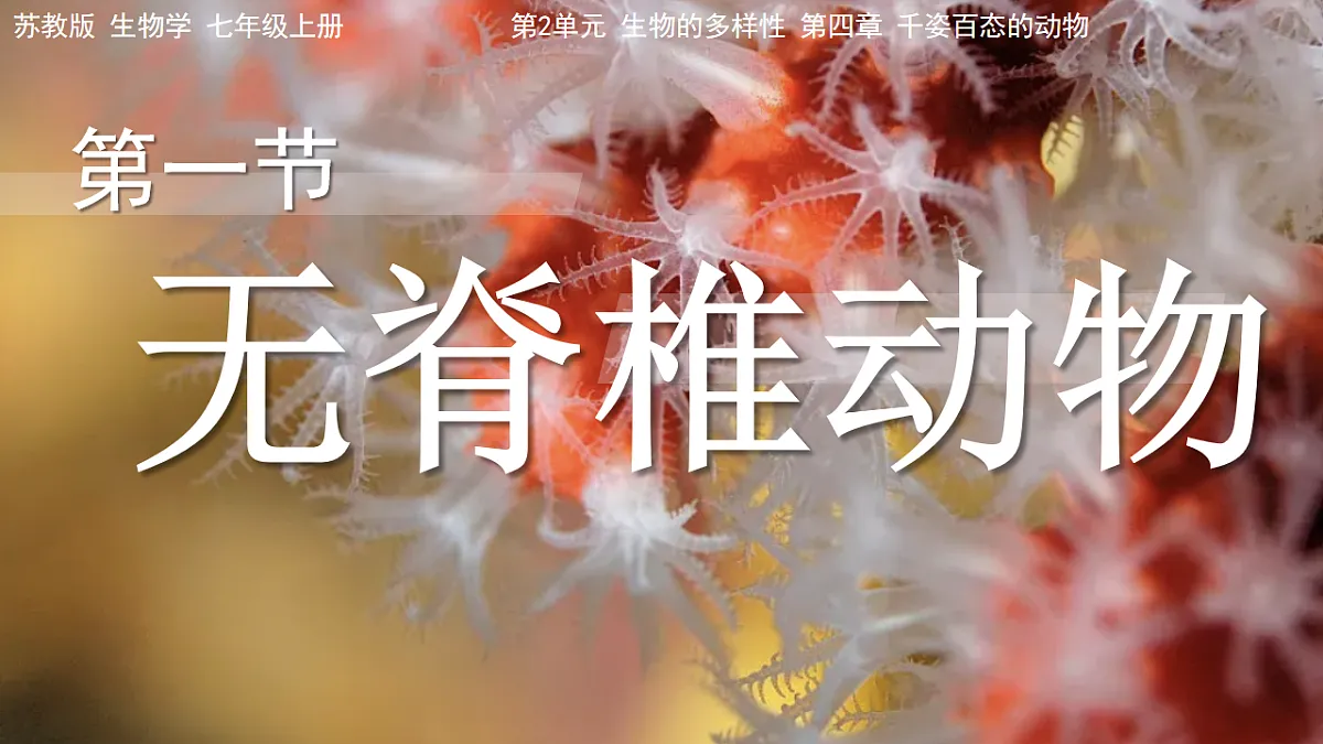 17766174第1页