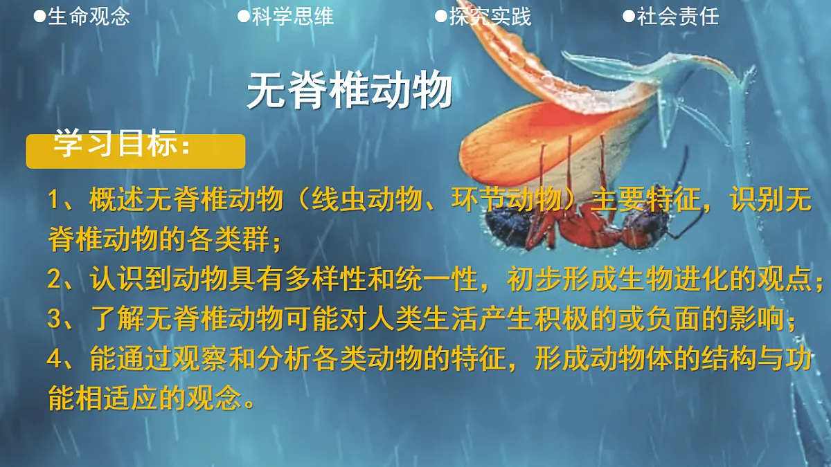 17766174第2页