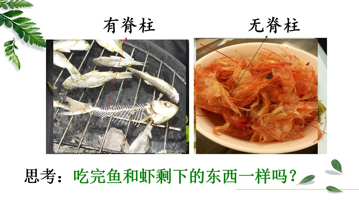 17766174第4页