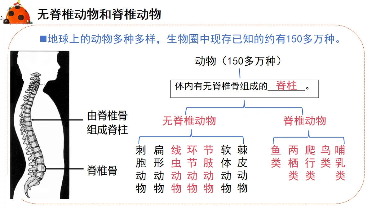 17766174第5页