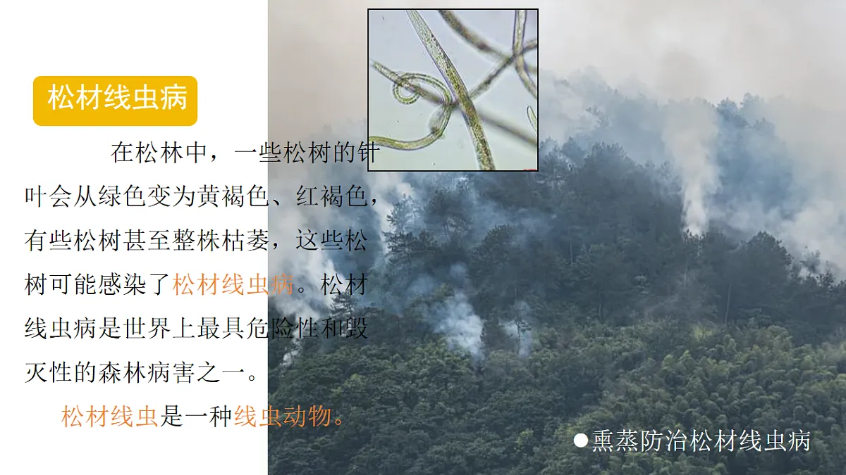 17766174第8页