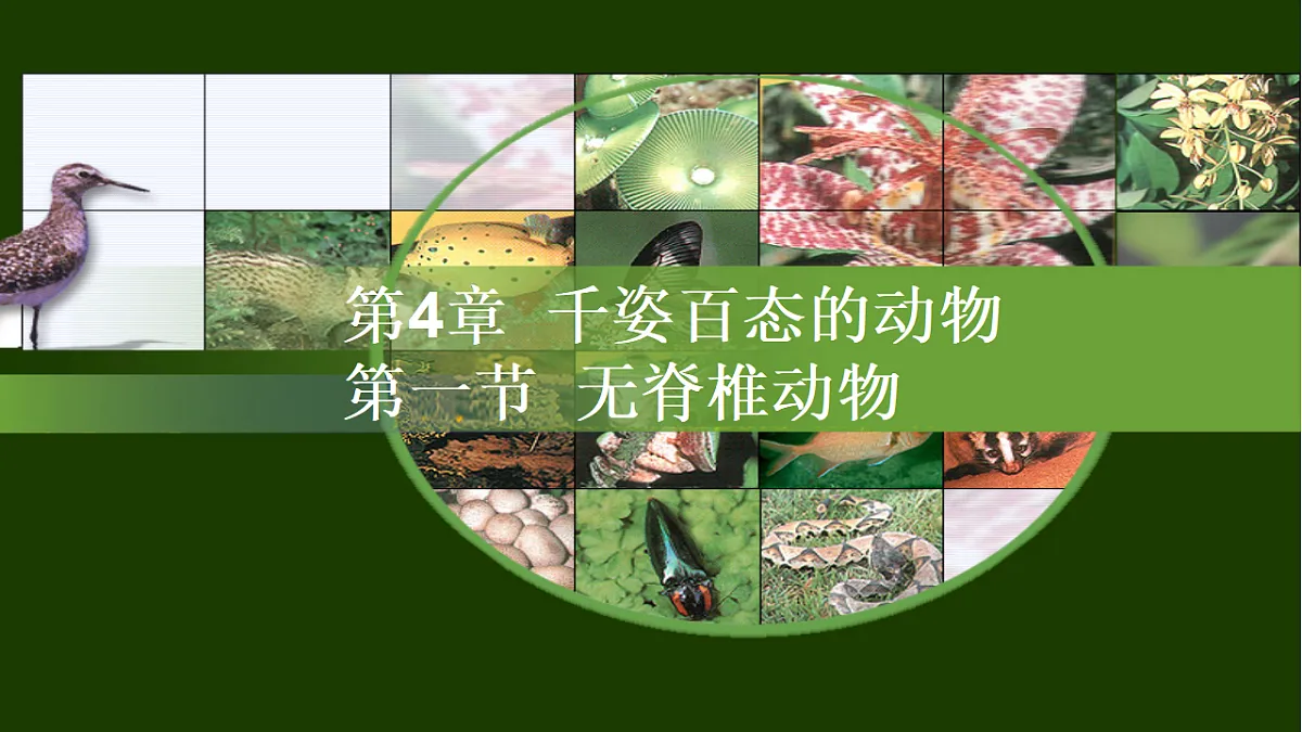 17766175第2页