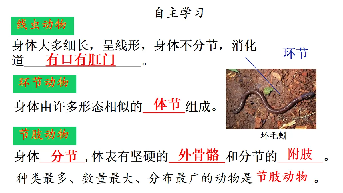 17766175第5页