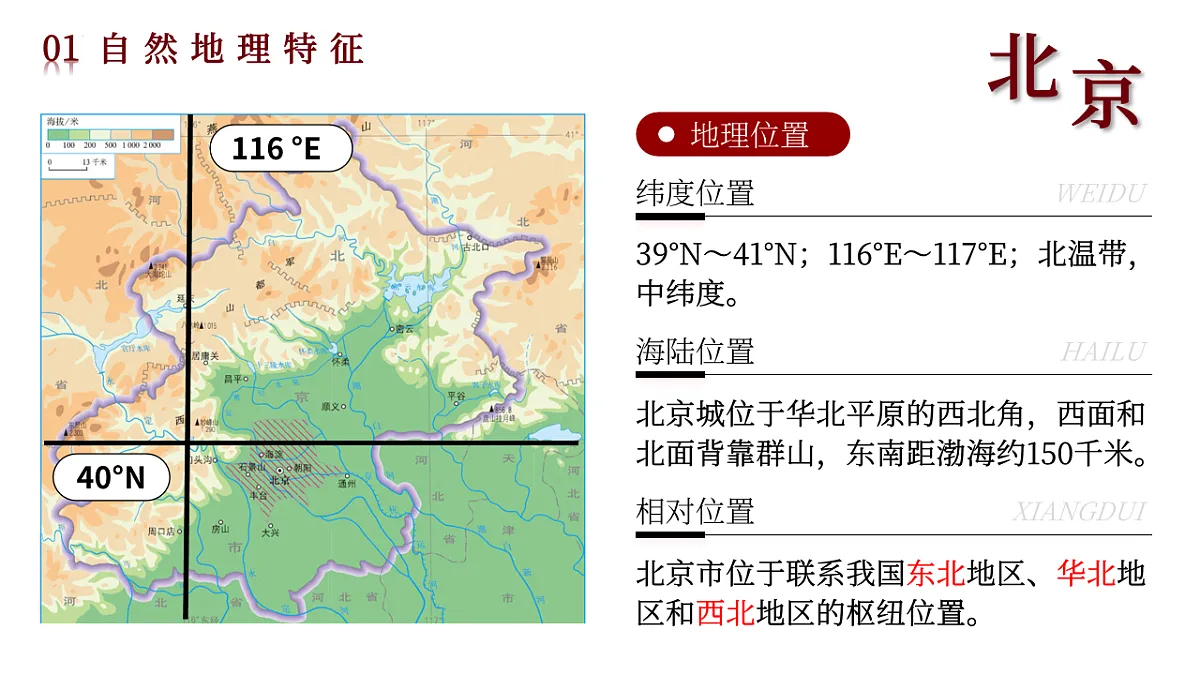 17767330第5页