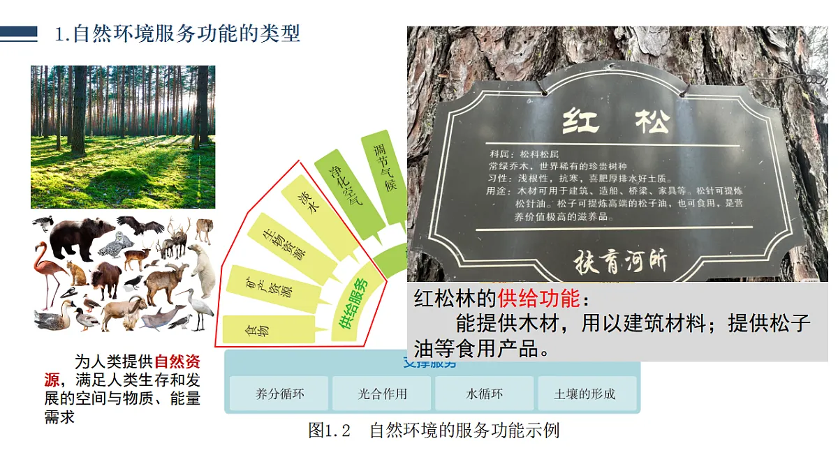 1.1 自然环境的服务功能(情境教学课件)2025-2026学年地理人教版选择性必修3第7页