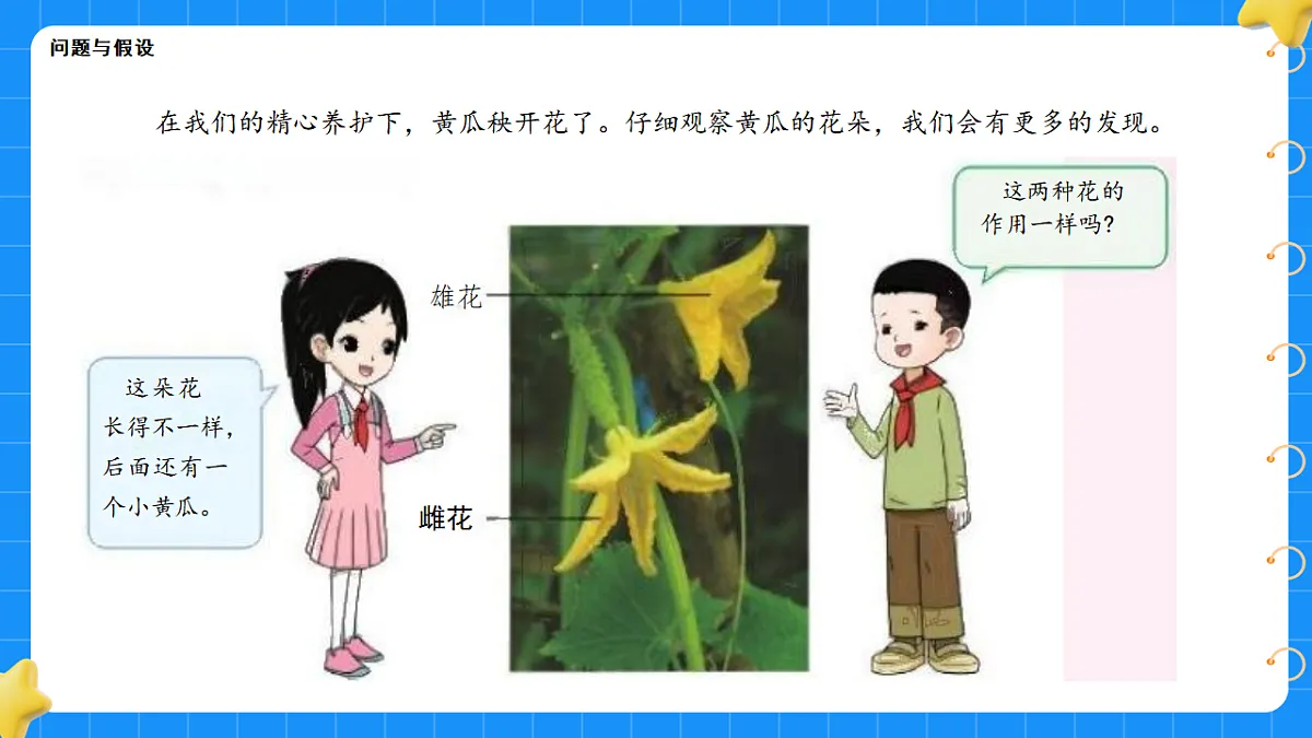 17767366第2页