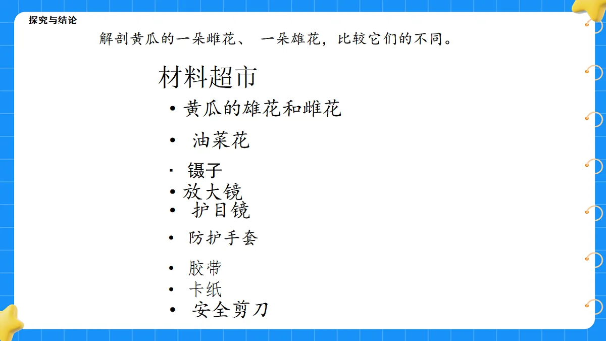 17767366第3页