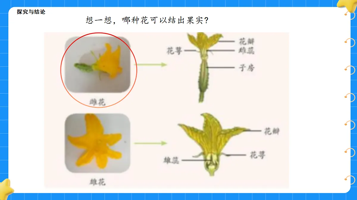 17767366第4页