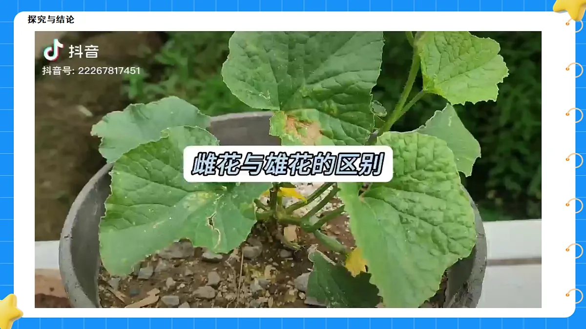 17767366第5页