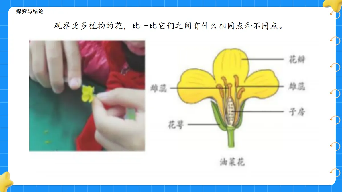 17767366第6页