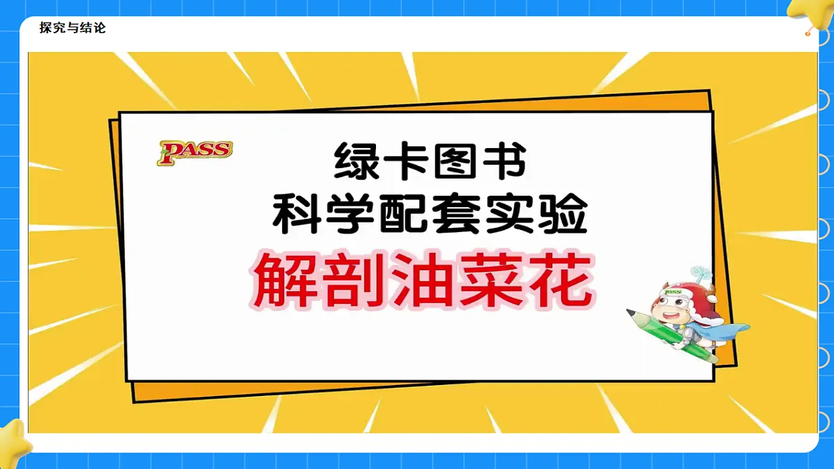 17767366第7页