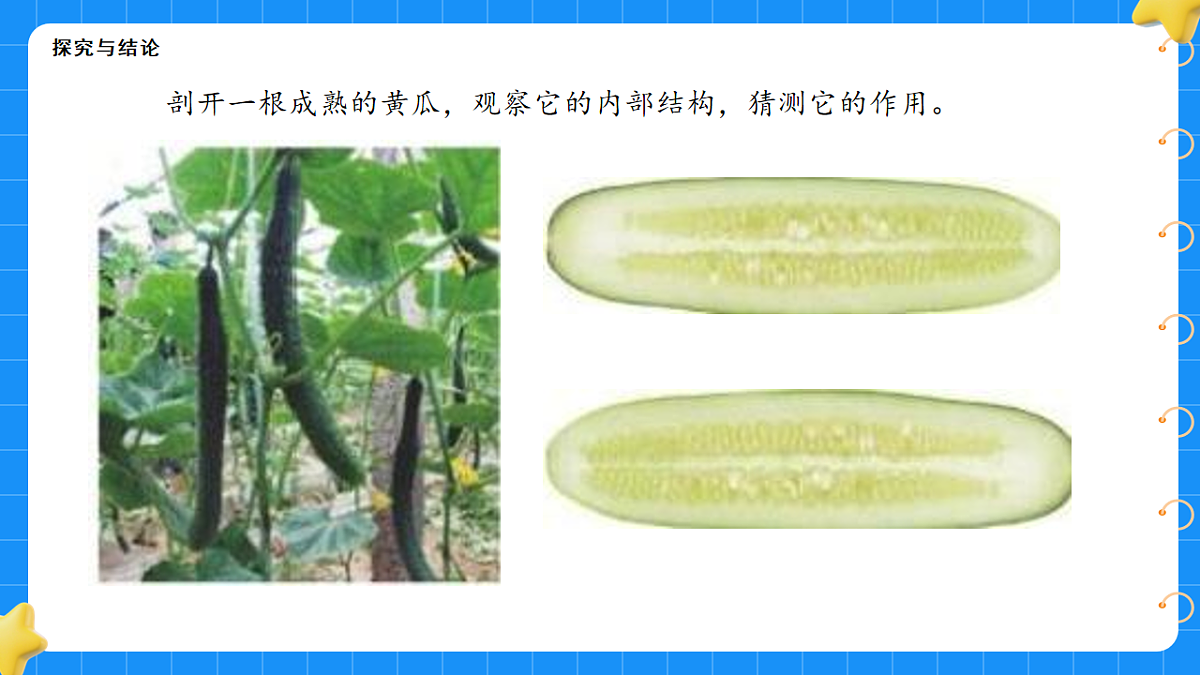 17767368第3页