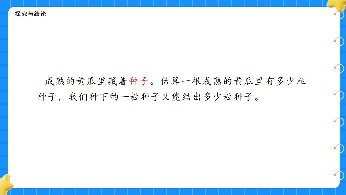 17767368第4页