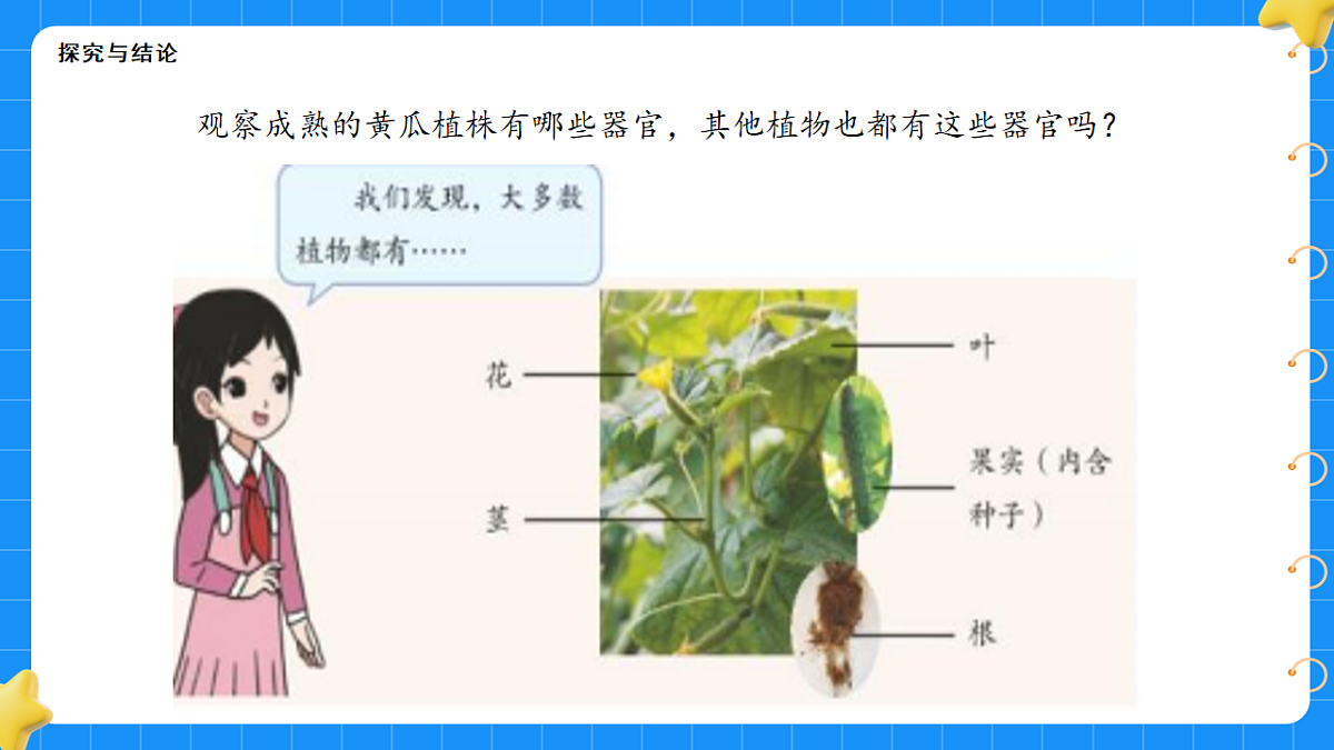 17767368第5页