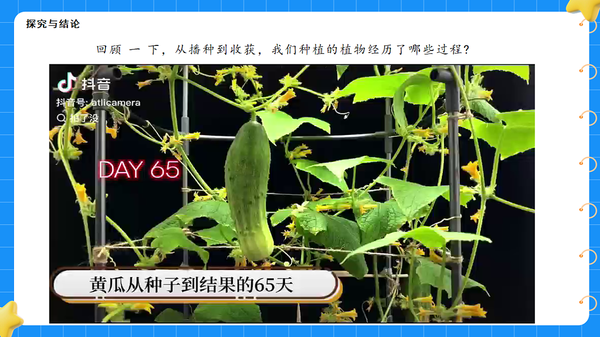 17767368第7页