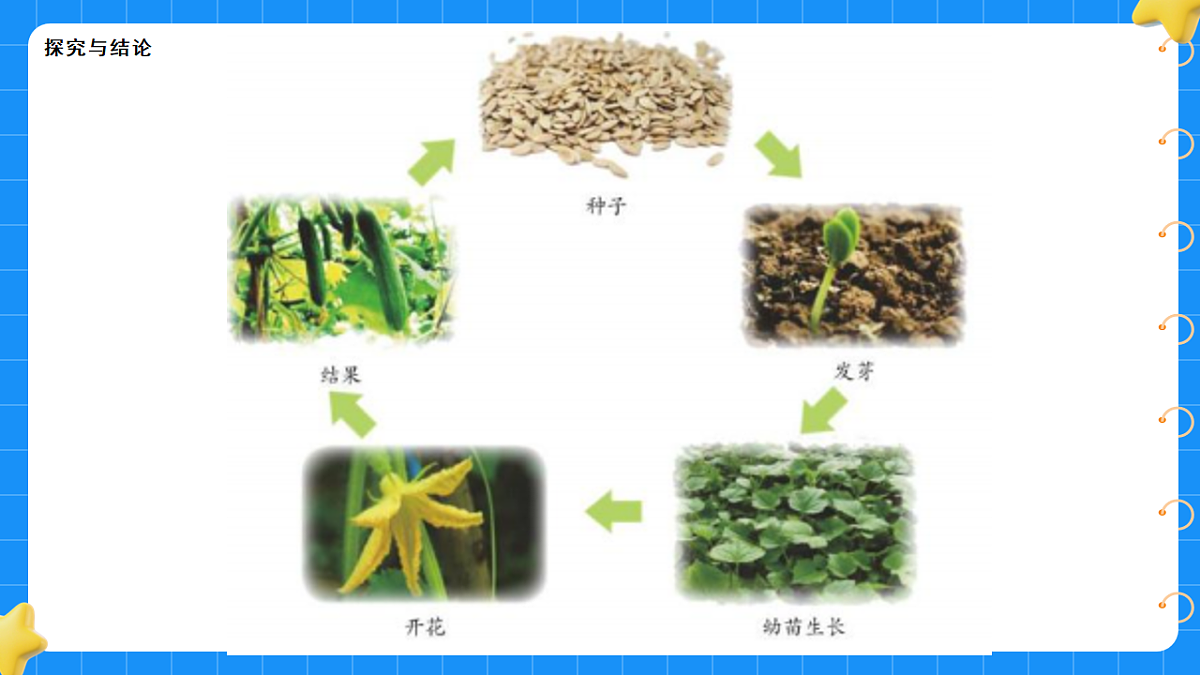 17767368第8页