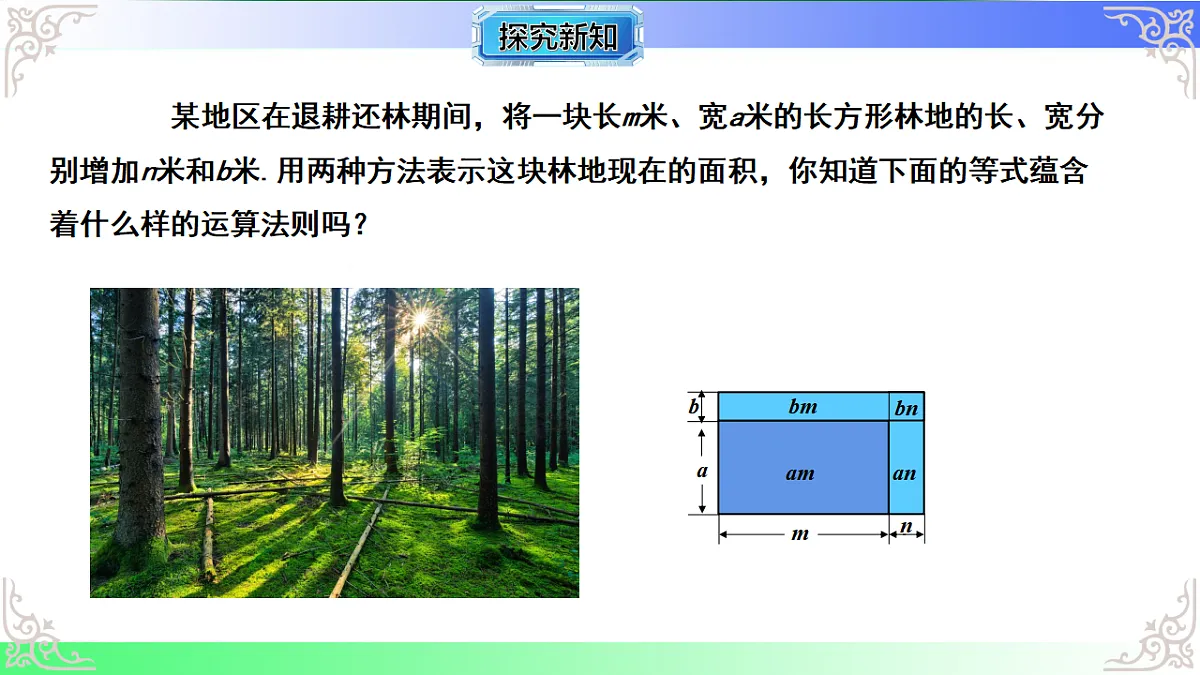 17767644第4页