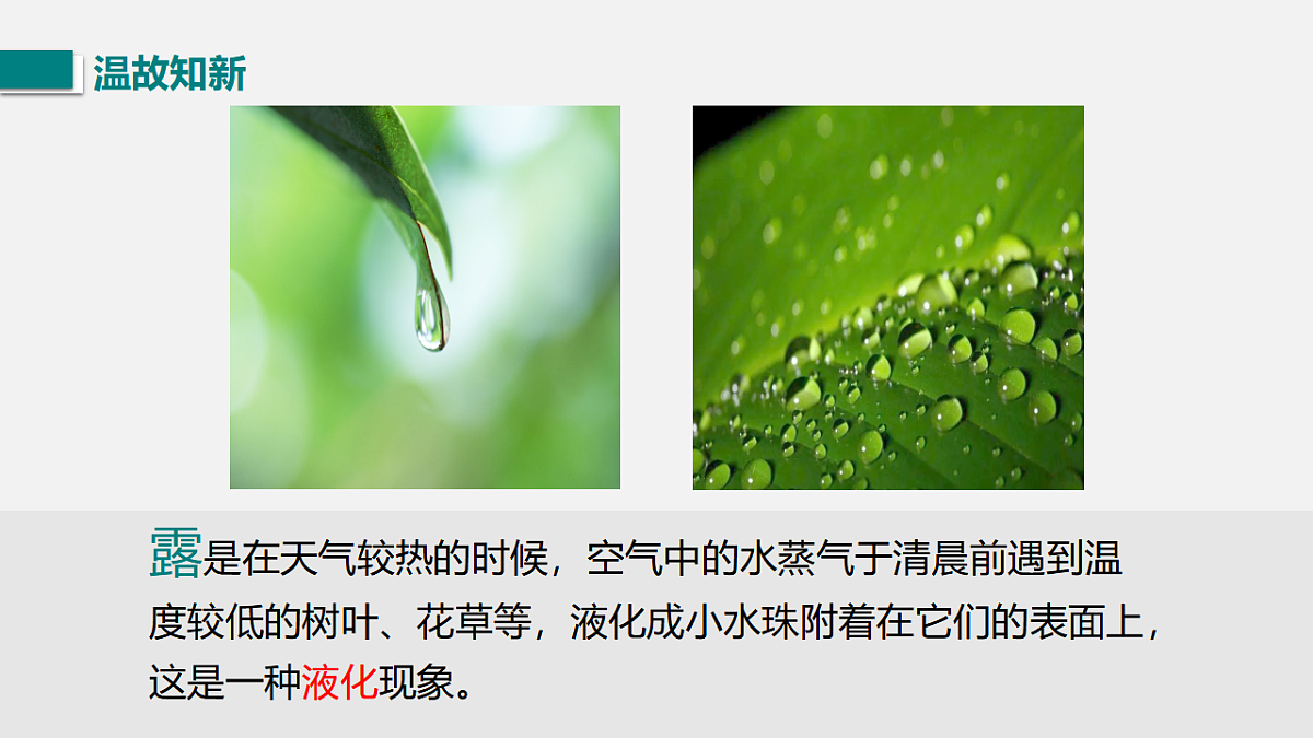 17767705第4页