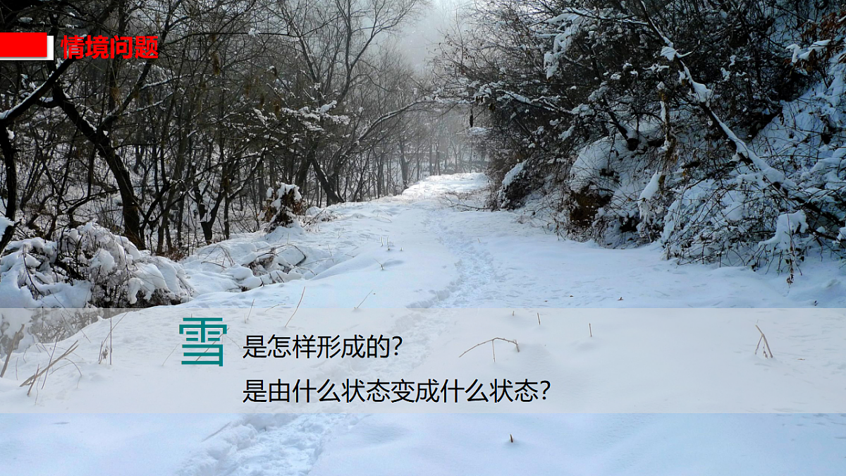 17767705第6页
