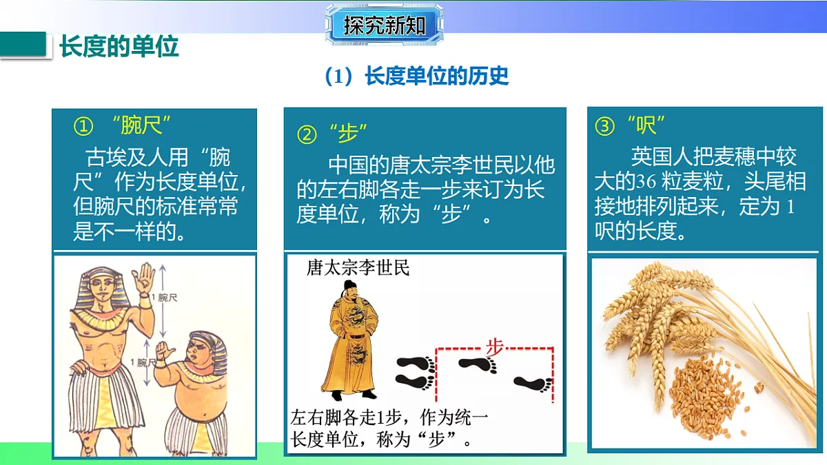 17767709第4页