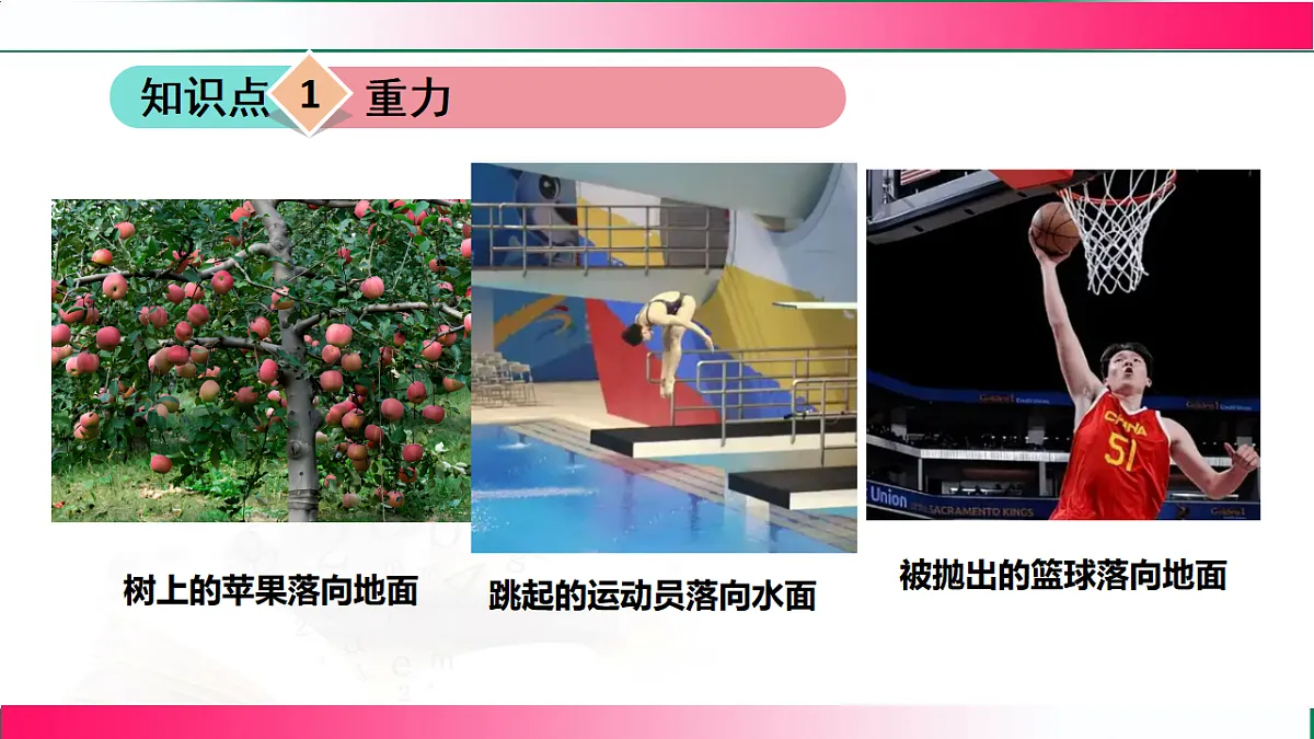 17767775第5页