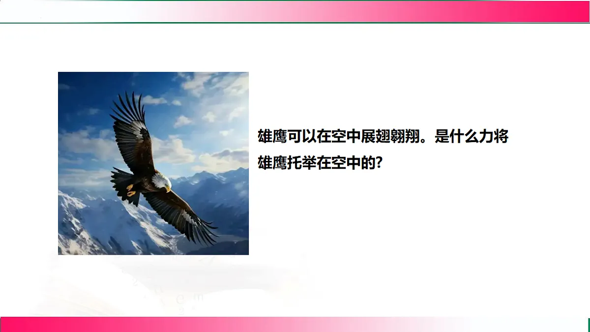 17767779第3页