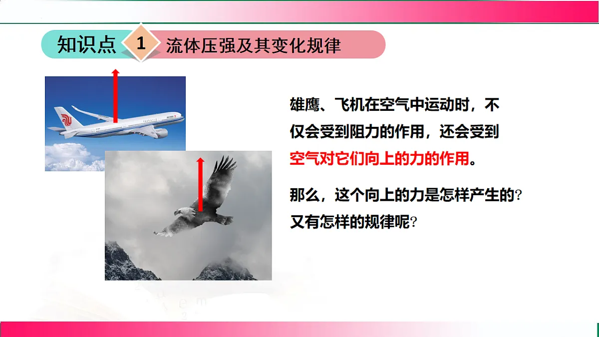 17767779第5页