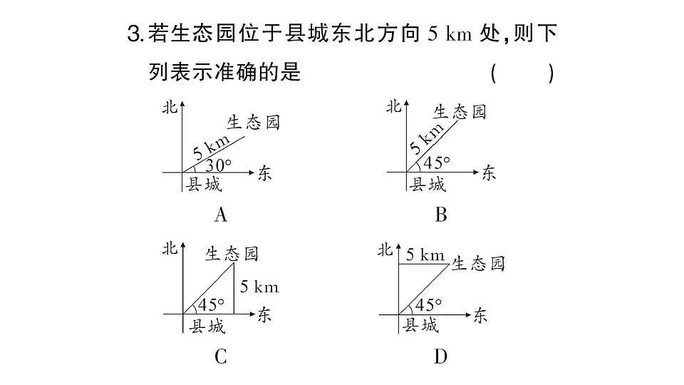17767862第5页
