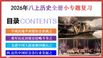 统编版历史八年级上册期末小专题综合复习课件