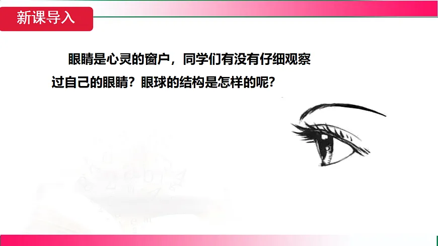 17769072第4页