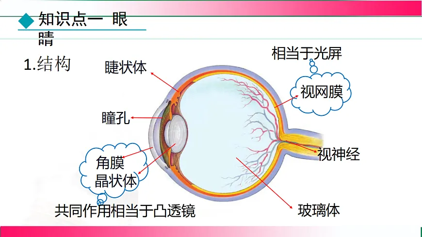17769072第5页
