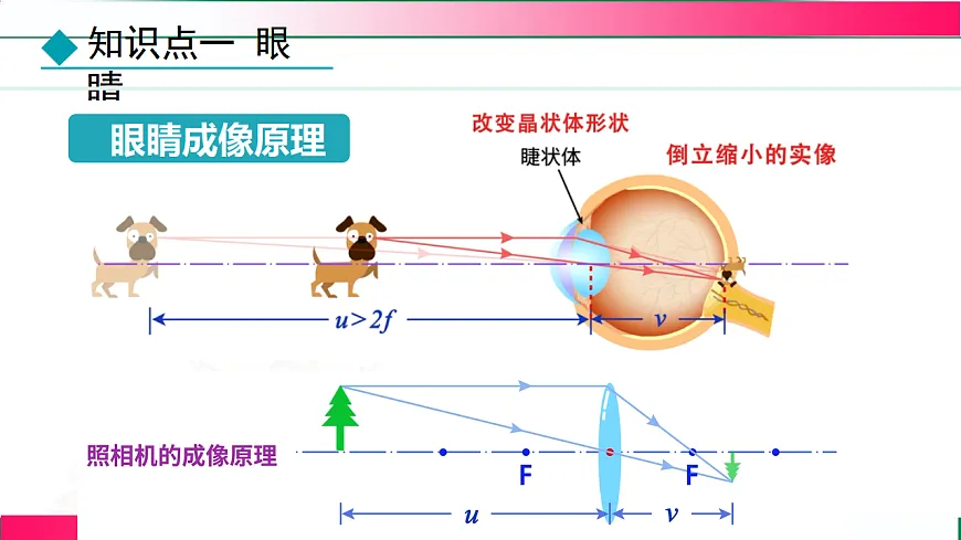 17769072第6页