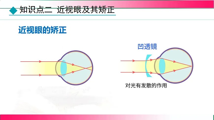 17769072第8页