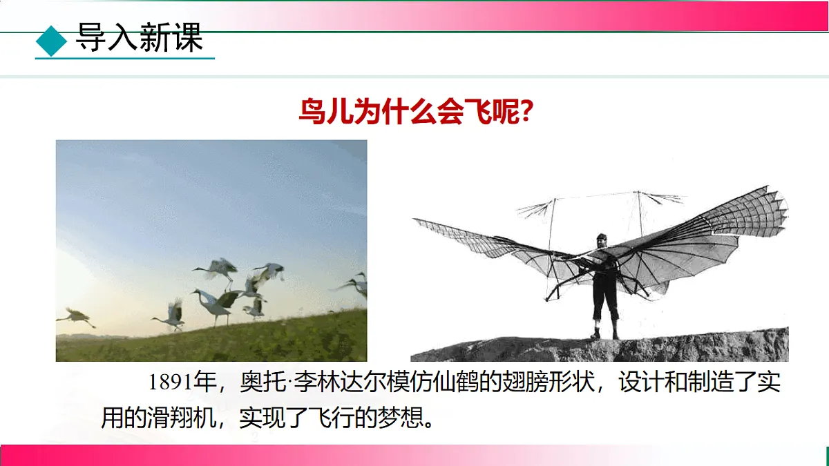 17769090第6页