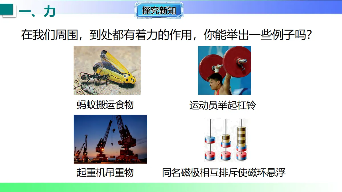 17769111第6页