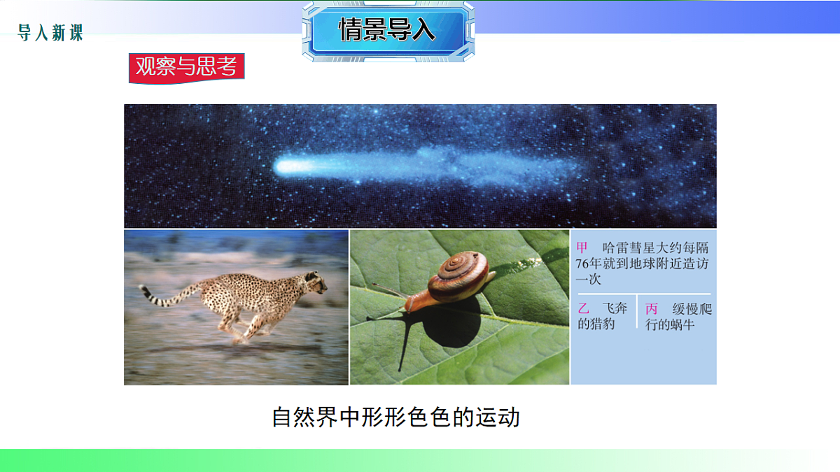 17769117第3页
