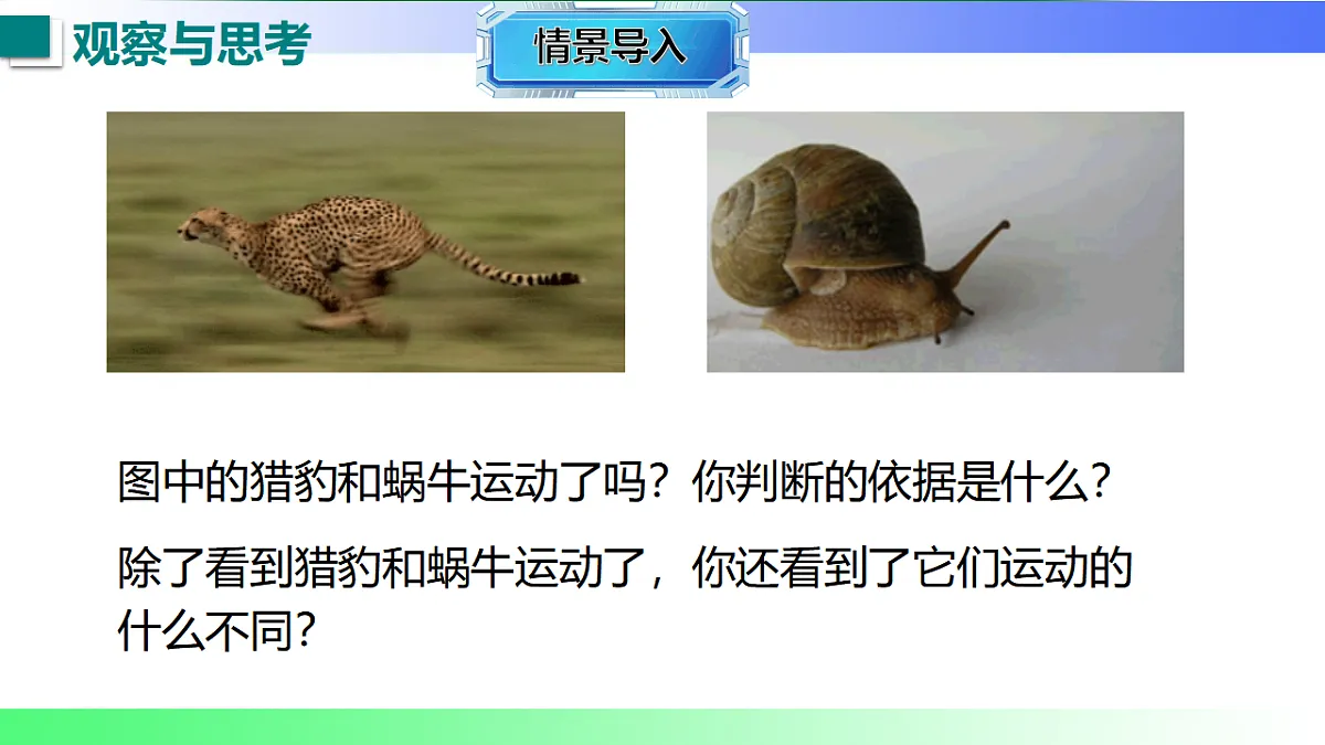 17769118第4页