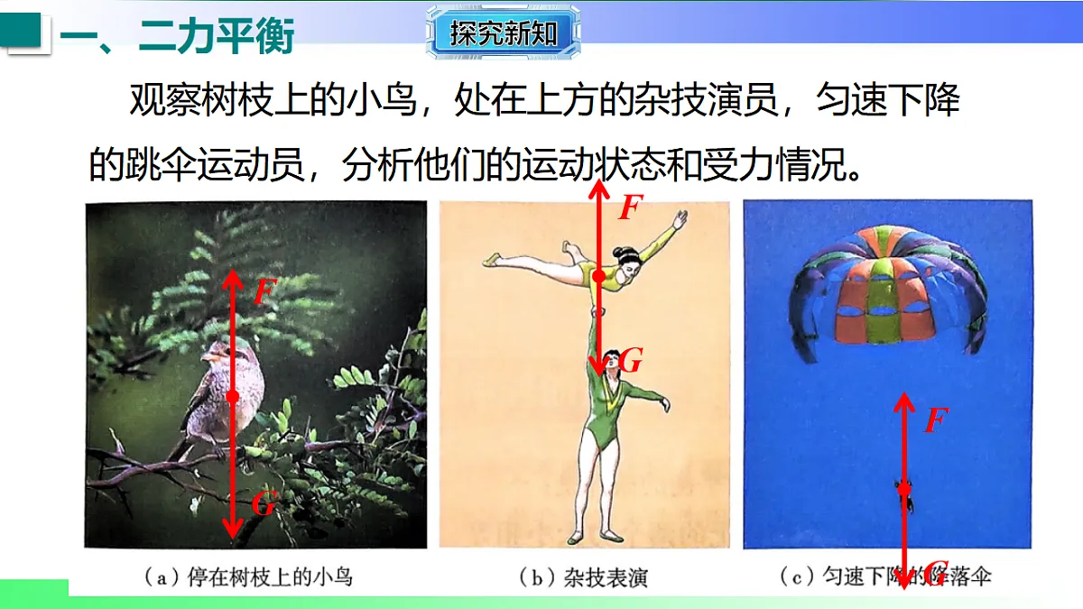 17769121第6页