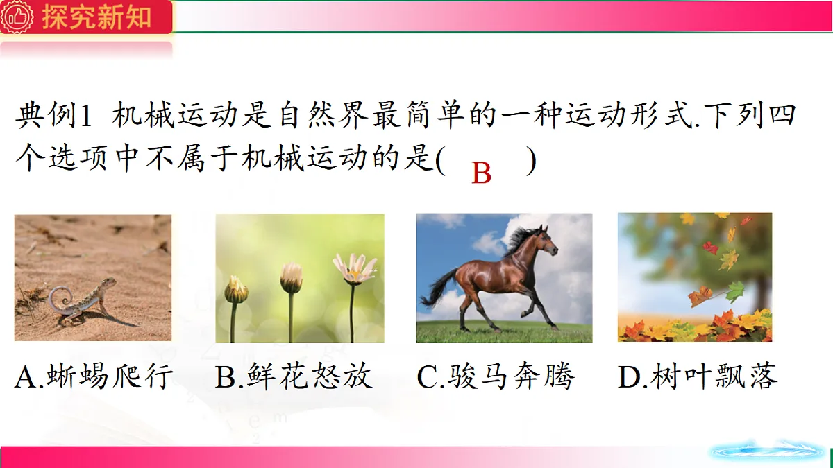 17769187第8页