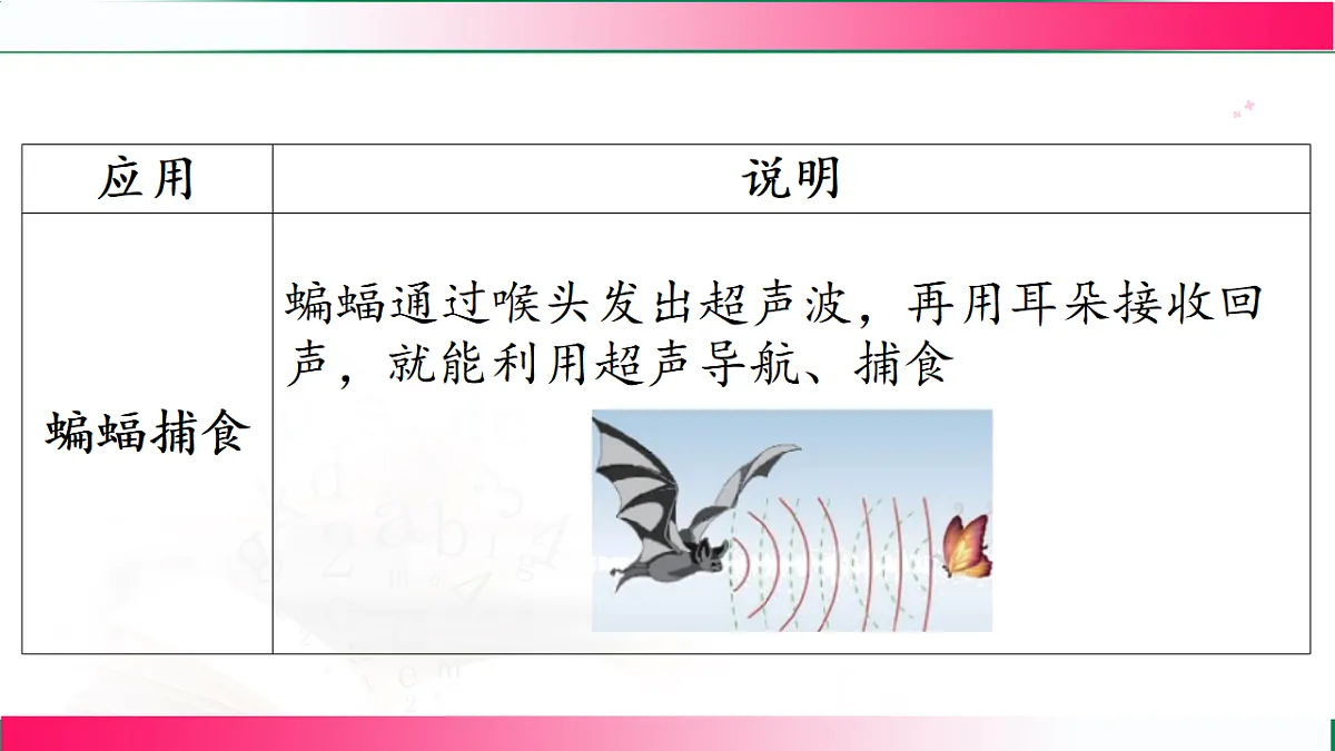 17769194第8页