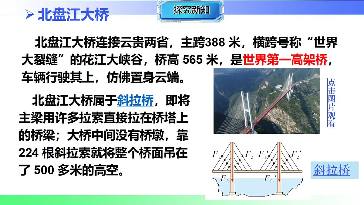17769235第7页