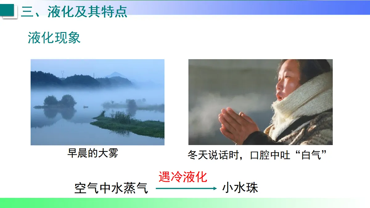 17769276第4页
