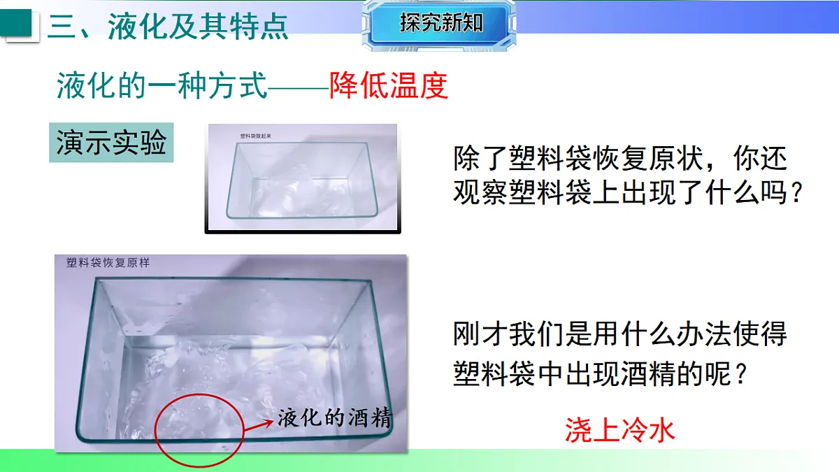 17769276第6页